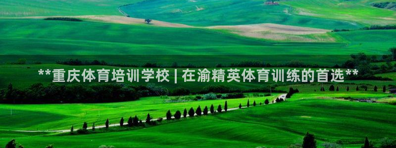 欧陆娱乐代理多少个点位合适：**重庆体育培训学校 |