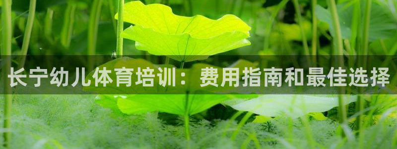 欧陆公司在哪里：长宁幼儿体育培训：费用指南和最佳选择