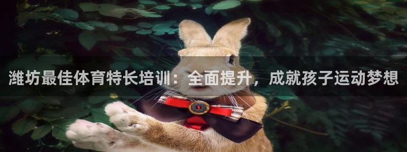 欧陆娱乐分分彩：潍坊最佳体育特长培训：全面提升，成就