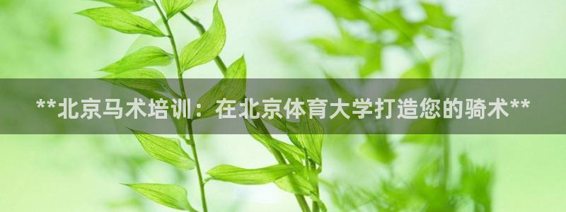 欧陆娱乐注册链接：**北京马术培训：在北京体育大学打