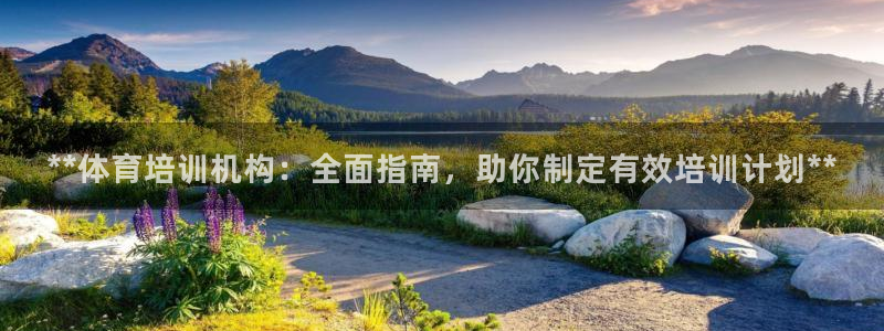 欧陆娱乐官方网站下载：**体育培训机构：全面指南，助