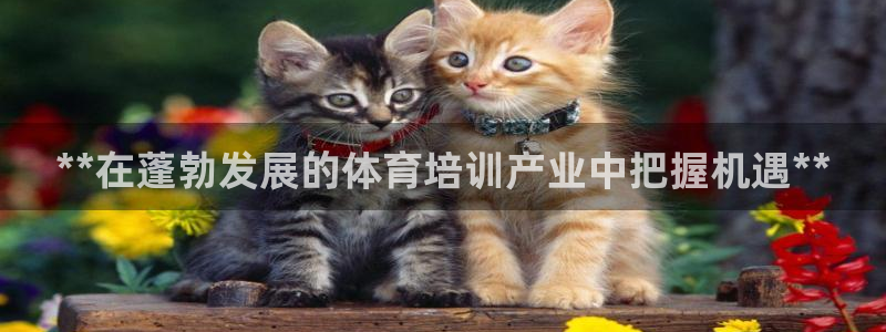 重庆欧陆娱乐有限公司怎么样：**在蓬勃发展的体育培训