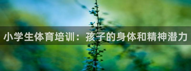 欧陆娱乐是正规平台吗安全吗：小学生体育培训：孩子的身