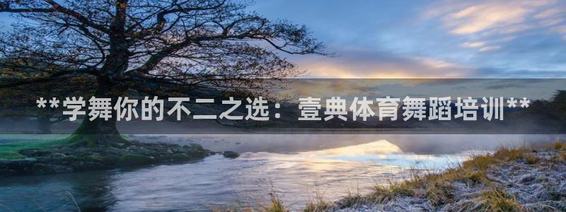 欧陆娱乐平台咋样啊安全吗：**学舞你的不二之选：壹典