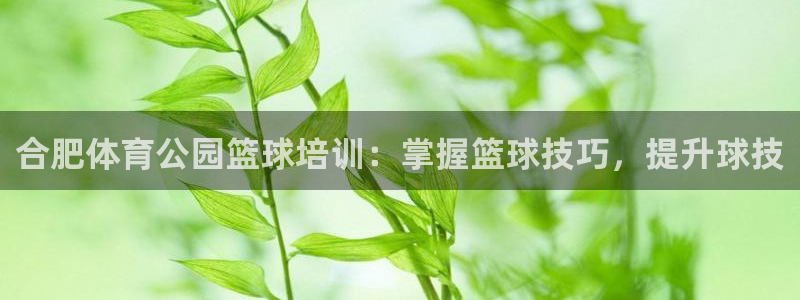 欧陆娱乐能提现嘛安全吗：合肥体育公园篮球培训：掌握篮