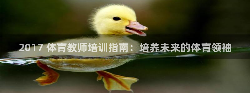欧陆娱乐怎么注册账号：2017 体育教师培训指南：培