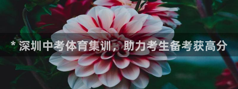 欧陆娱乐平台登陆地址在哪看：* 深圳中考体育集训，助