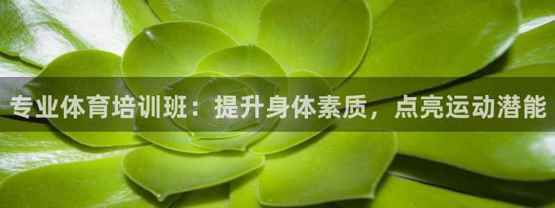 欧陆娱乐官网下载安装最新版苹果：专业体育培训班：提升