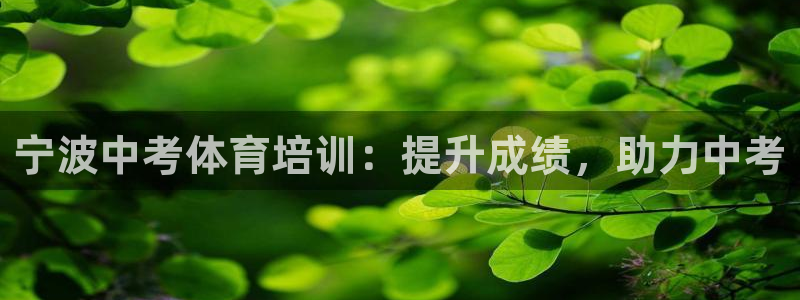 欧陆娱乐脚本怎么下载：宁波中考体育培训：提升成绩，助