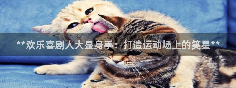 欧陆娱乐怎么样：**欢乐喜剧人大显身手：打造运动场上