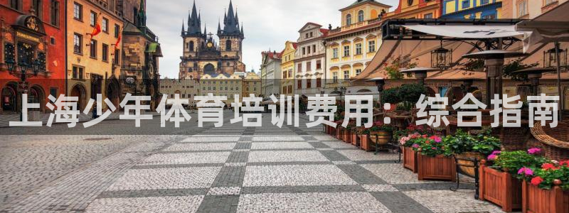 欧陆游戏平台：上海少年体育培训费用：综合指南