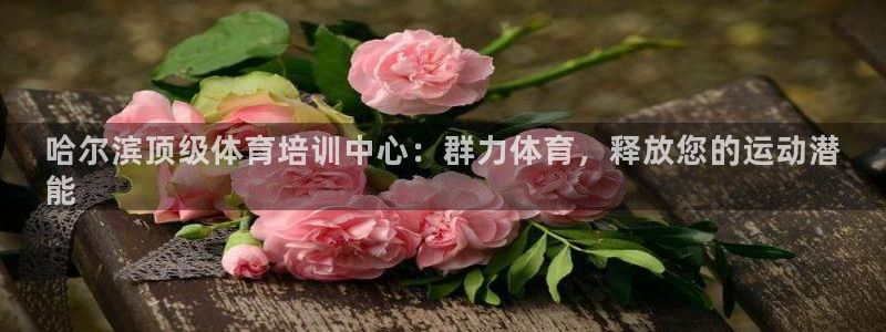 欧陆娱乐出款了吗：哈尔滨顶级体育培训中心：群力体育，