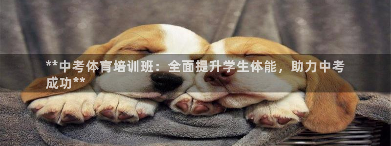 欧陆娱乐平台登陆地址：**中考体育培训班：全面提升学