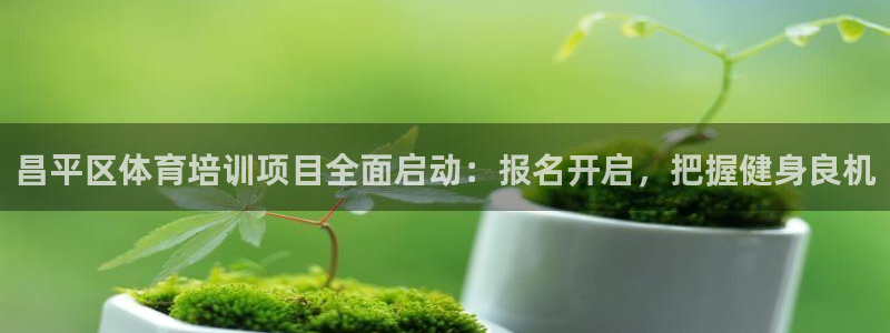 欧陆娱乐app攻略大全：昌平区体育培训项目全面启动：