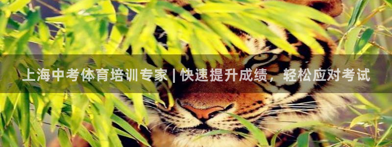 欧陆娱乐登录官网网址：上海中考体育培训专家 | 快速