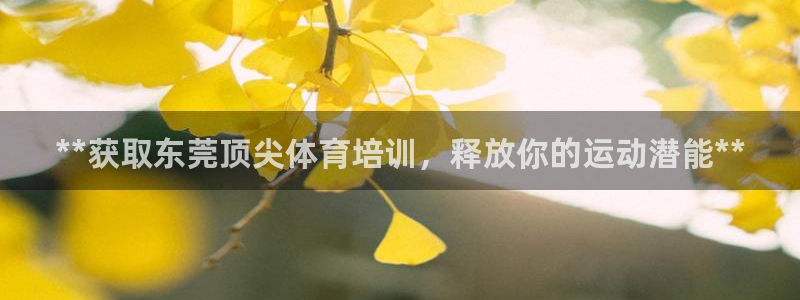 欧陆平台：**获取东莞顶尖体育培训，释放你的运动潜能