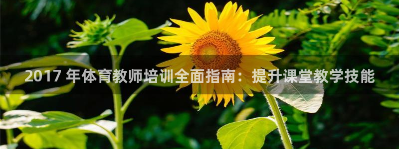 欧陆娱乐打什么方案赚钱：2017 年体育教师培训全面指南：提