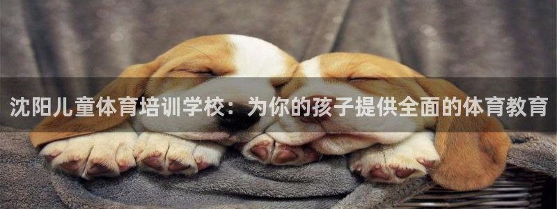欧陆娱乐能提现嘛?：沈阳儿童体育培训学校：为你的孩子提供全面