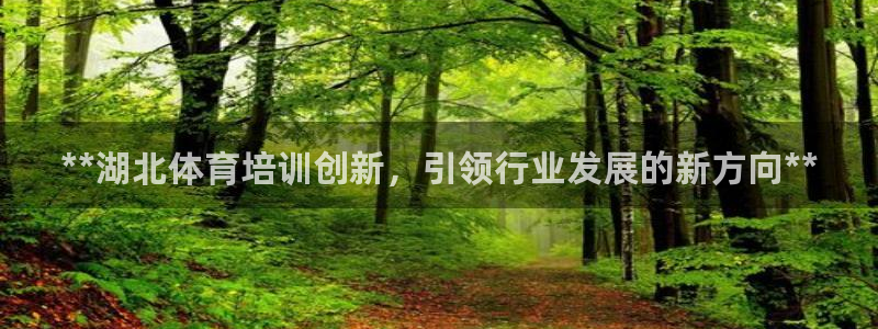 欧陆娱乐注册代理多少钱一年：**湖北体育培训创新，引领行业发