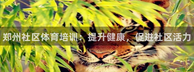 欧陆娱乐是正规吗?：郑州社区体育培训：提升健康，促进