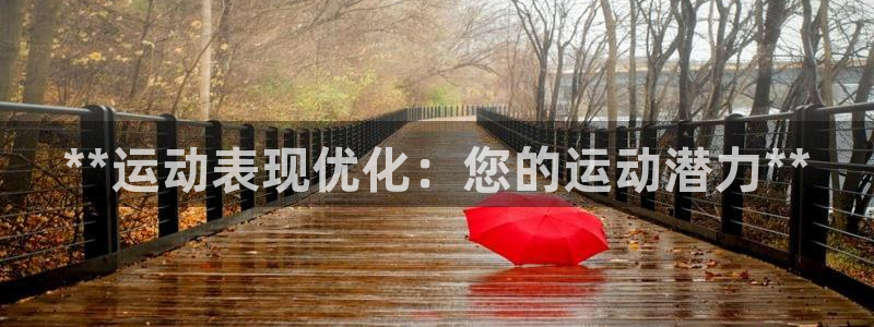 欧陆娱乐公司产品介绍大全：**运动表现优化：您的运动