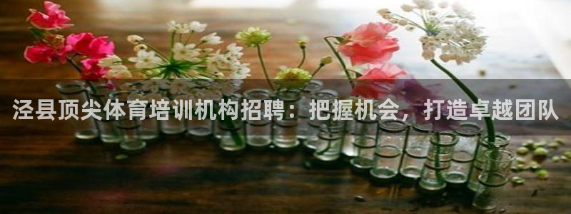 欧陆注册码：泾县顶尖体育培训机构招聘：把握机会，打造
