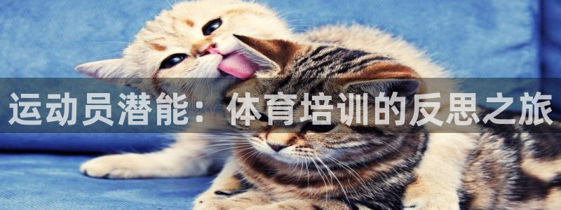 重庆欧陆娱乐有限公司电话：运动员潜能：体育培训的反思