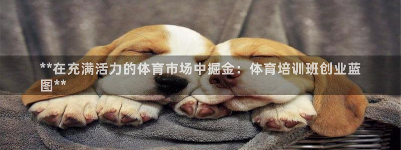 欧陆娱乐招商主管：**在充满活力的体育市场中掘金：体