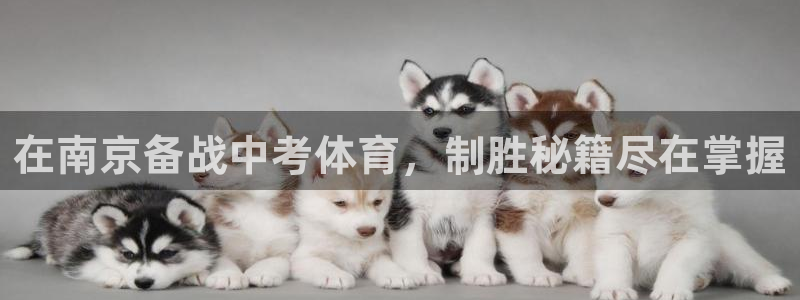 欧陆娱乐客服电话人工服务电话：在南京备战中考体育，制胜秘籍尽
