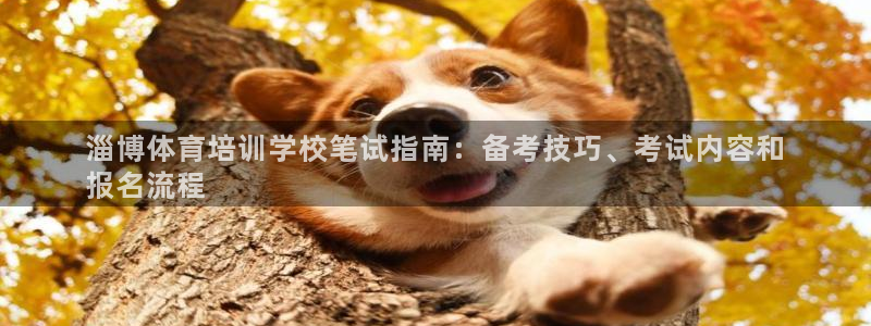 欧陆娱乐有限公司怎么样：淄博体育培训学校笔试指南：备
