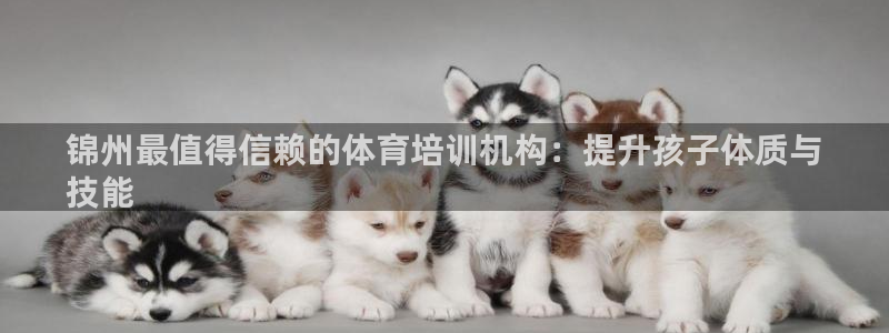 欧陆娱乐计划预测软件