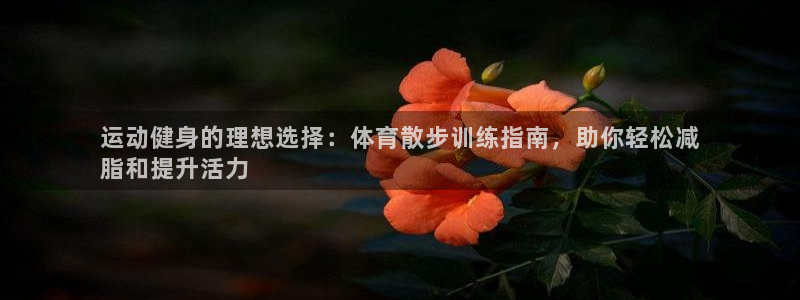 欧陆娱乐登陆官网网址：运动健身的理想选择：体育散步训