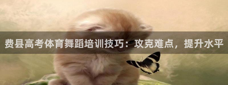 欧陆娱乐有限公司招聘：费县高考体育舞蹈培训技巧：攻克