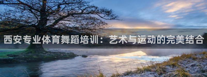 欧陆娱乐百科官网：西安专业体育舞蹈培训：艺术与运动的