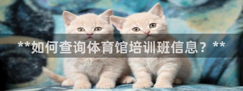 欧陆娱乐客服服务：**如何查询体育馆培训班信息？**