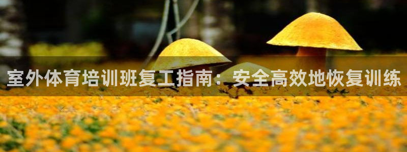 欧陆娱乐安全吗：室外体育培训班复工指南：安全高效地恢复训练
