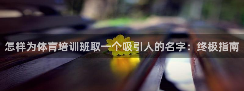 欧陆娱乐能赚钱吗：怎样为体育培训班取一个吸引人的名字