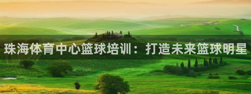 欧陆娱乐系统教程：珠海体育中心篮球培训：打造未来篮球