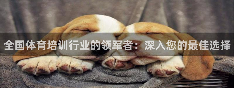 欧陆娱乐能提现嘛安全吗：全国体育培训行业的领军者：深