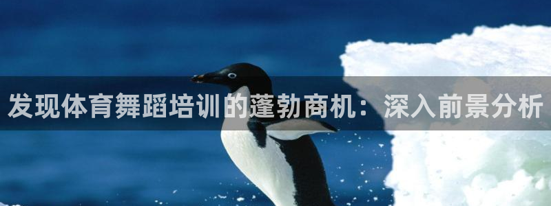 欧陆娱乐登录测速软件：发现体育舞蹈培训的蓬勃商机：深