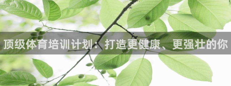 欧陆娱乐能赚钱吗知乎：顶级体育培训计划：打造更健康、