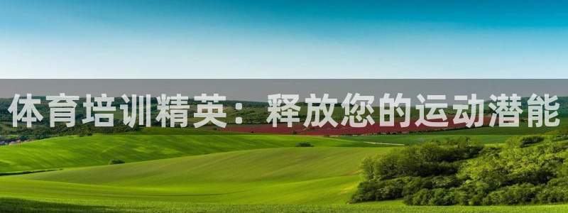 欧陆娱乐招商主管：体育培训精英：释放您的运动潜能