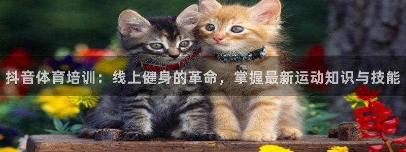欧陆娱乐怎么注册账号登录：抖音体育培训：线上健身的革