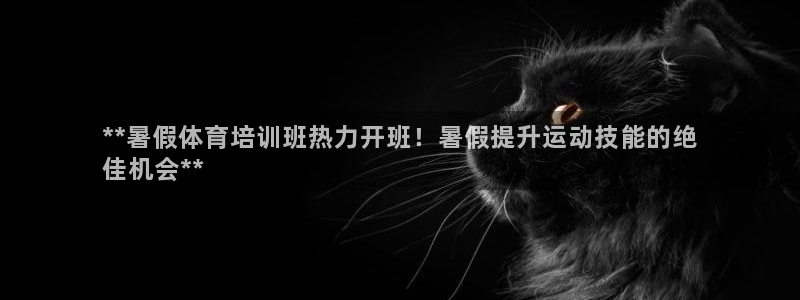 欧陆娱乐计划预测软件下载：**暑假体育培训班热力开班