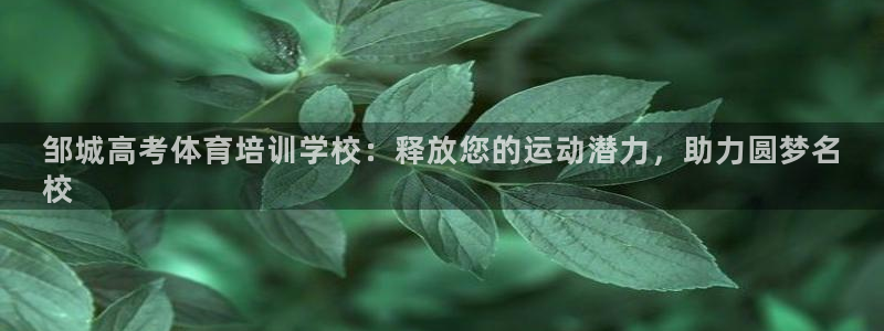 欧陆娱乐怎么注册会员：邹城高考体育培训学校：释放您的