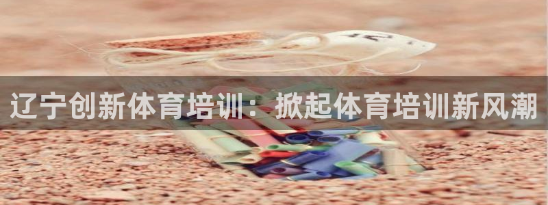 欧陆娱乐登录官网入口：辽宁创新体育培训：掀起体育培训