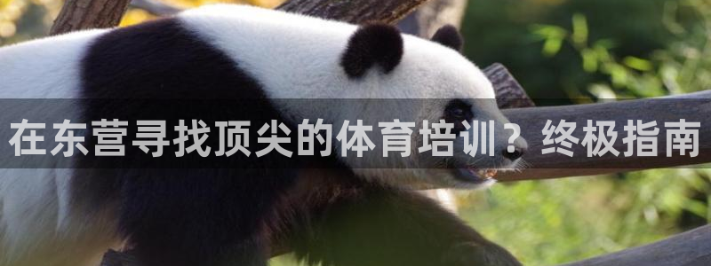 欧陆娱乐平台登录：在东营寻找顶尖的体育培训？终极指南