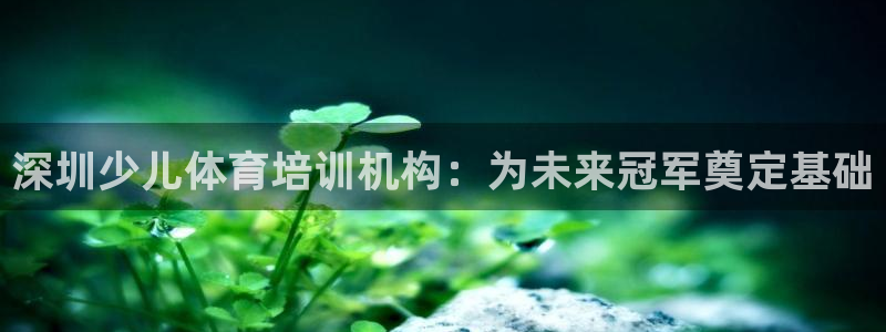 欧陆娱乐有限公司怎么样：深圳少儿体育培训机构：为未来