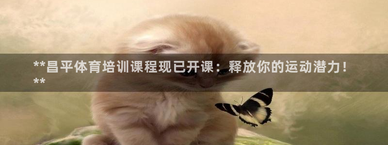 欧陆娱乐能赚钱吗现在：**昌平体育培训课程现已开课：