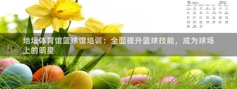 欧陆娱乐怎么注册帐号登录：地坛体育馆篮球馆培训：全面